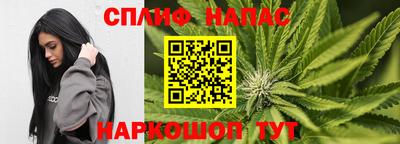 хмурый Кингисепп
