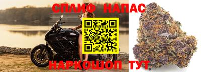 прущие грибы Кимры