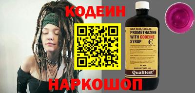 хмурый Кингисепп