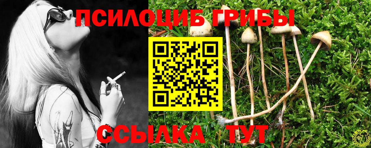 Галлюциногенные грибы Cubensis  Вход с VPN  Псилоцибиновые грибы прущие грибы  Коломна 